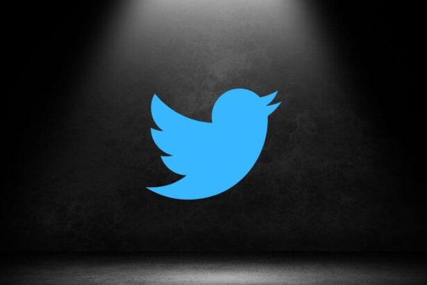 طريقة حماية حسابك على تويتر بدون الاشتراك في بلو